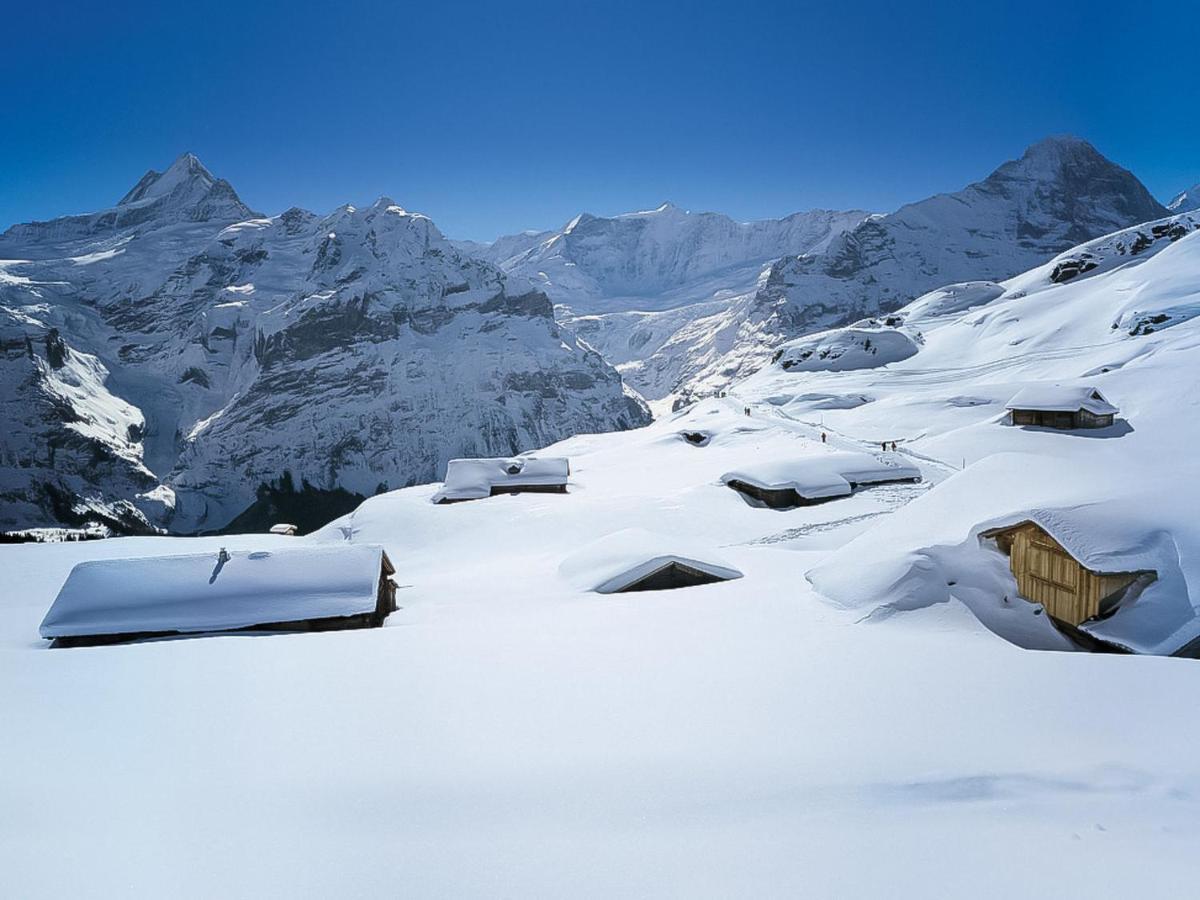 Apartment Chalet Cortina By Interhome Grindelwald Dış mekan fotoğraf